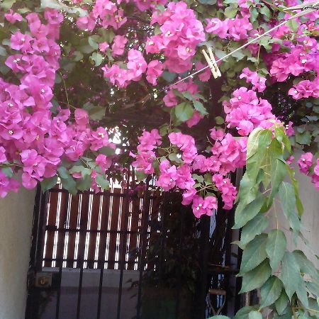 Alojamiento Alberto Magno Bed & Breakfast Santiago Ngoại thất bức ảnh